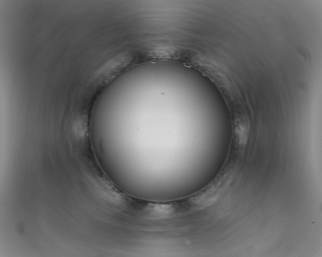 X0000111590665200907161454