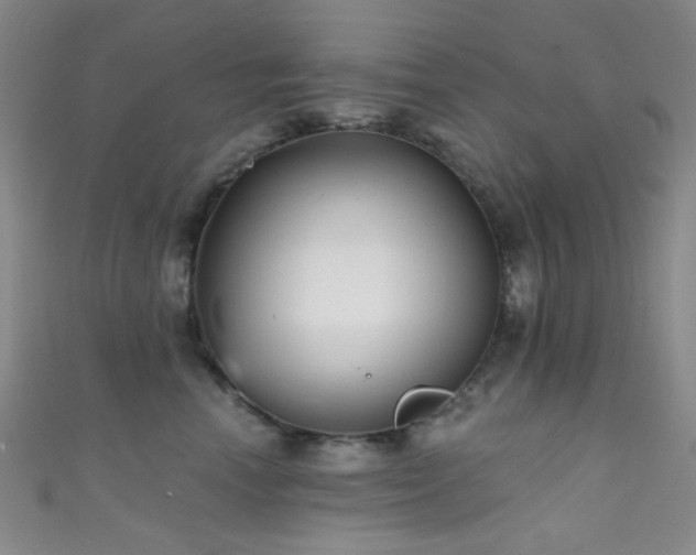 X0000111590666200907161454