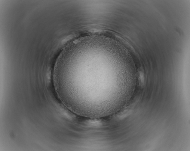 X0000111590668200907161455