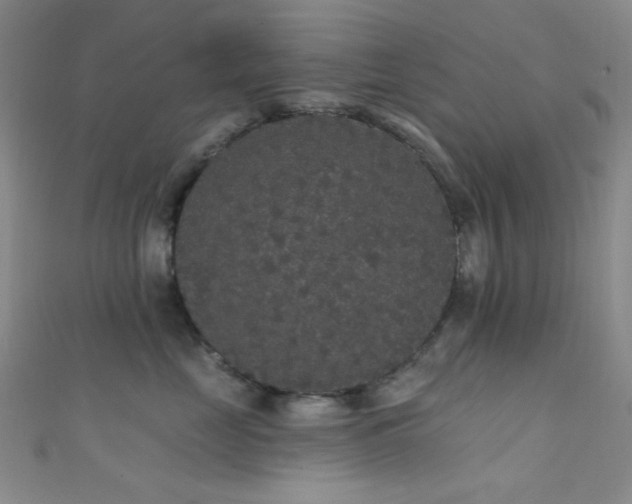 X0000111590669200907161455