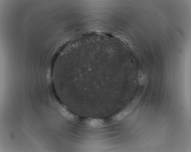 X0000111590670200907161455