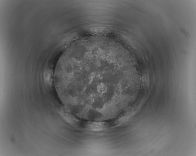 X0000111590671200907161455