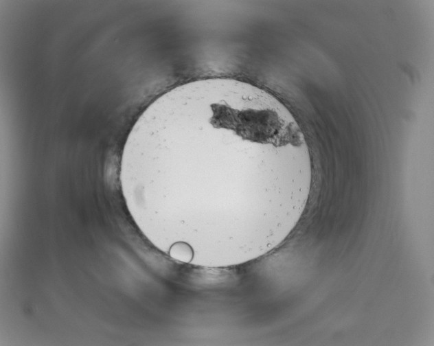 X0000111590672200907161455