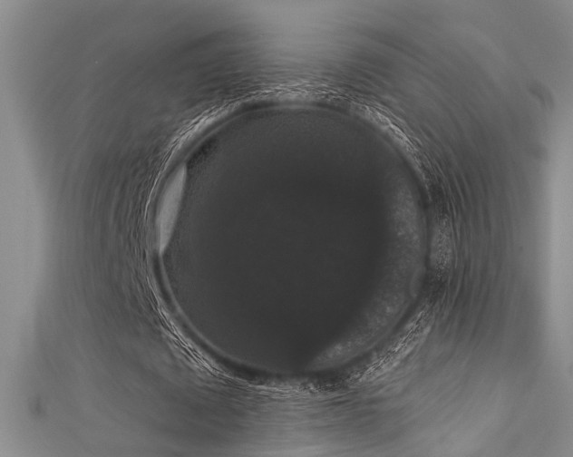 X0000111590673200907161454