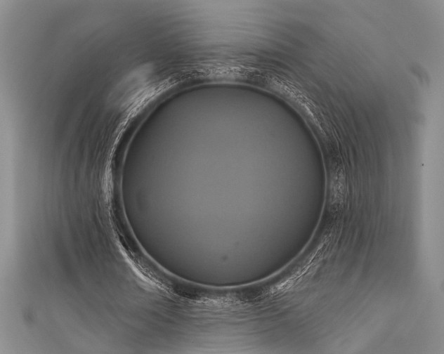 X0000111590674200907161454