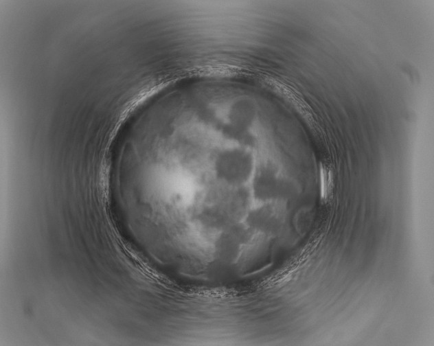 X0000111590675200907161454