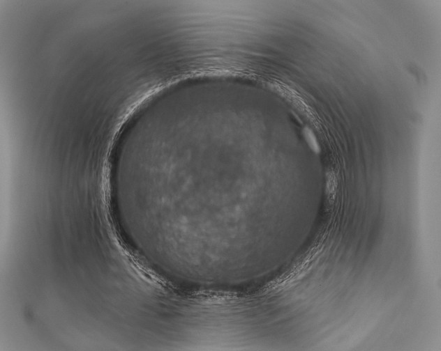 X0000111590676200907161454