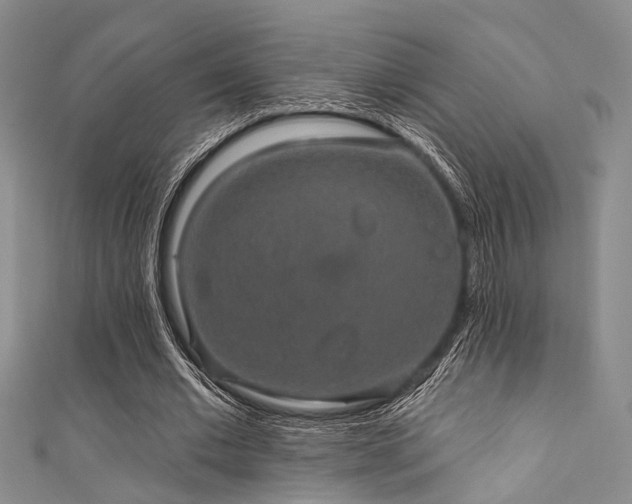 X0000111590677200907161454