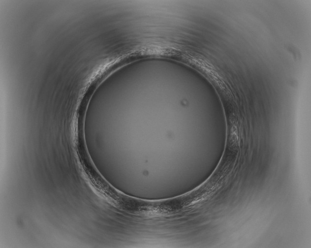 X0000111590678200907161454