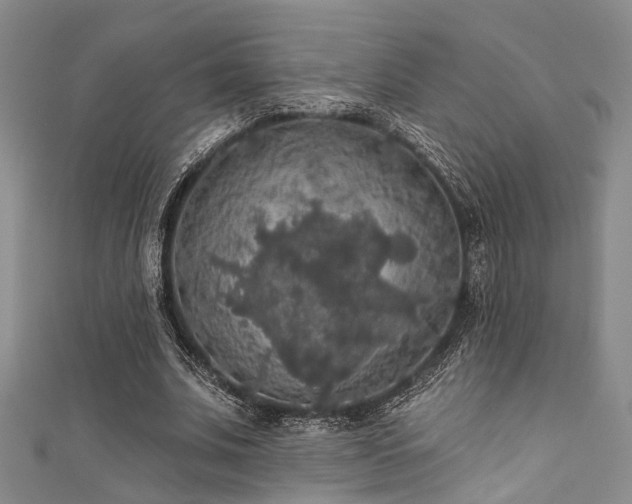 X0000111590679200907161454