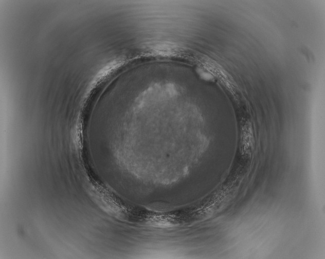 X0000111590680200907161454