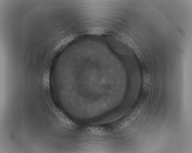 X0000111590681200907161454