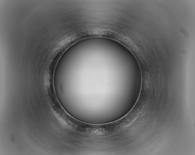 X0000111590683200907161454