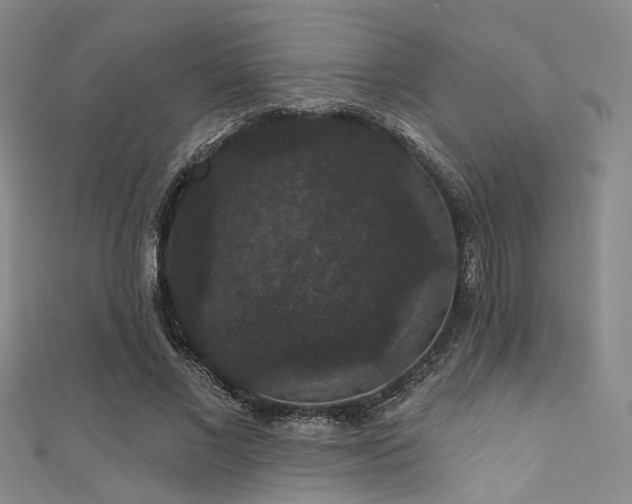 X0000111590685200907161454