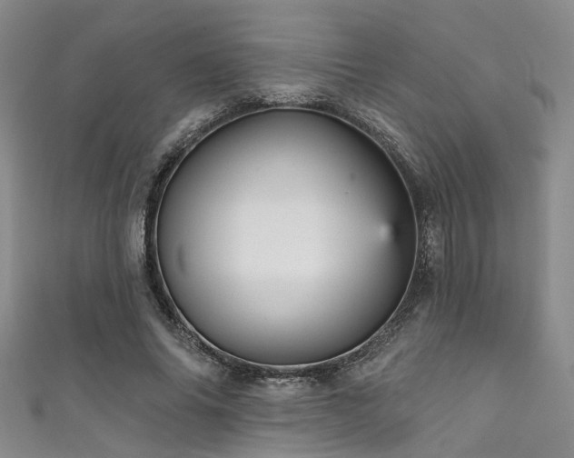 X0000111590686200907161454