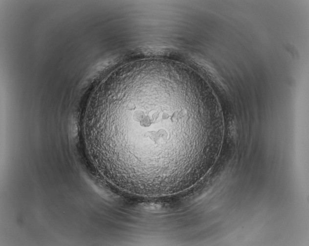 X0000111590687200907161454