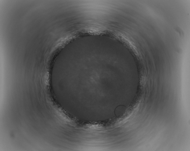 X0000111590689200907161454