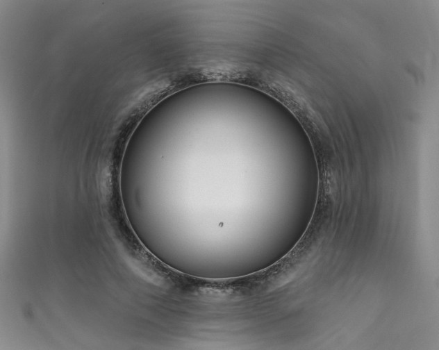 X0000111590690200907161454