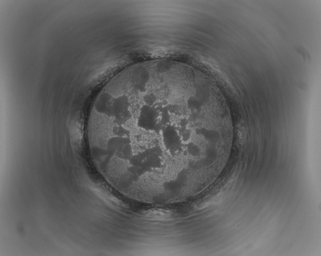 X0000111590691200907161454