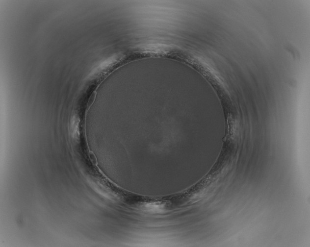 X0000111590692200907161454