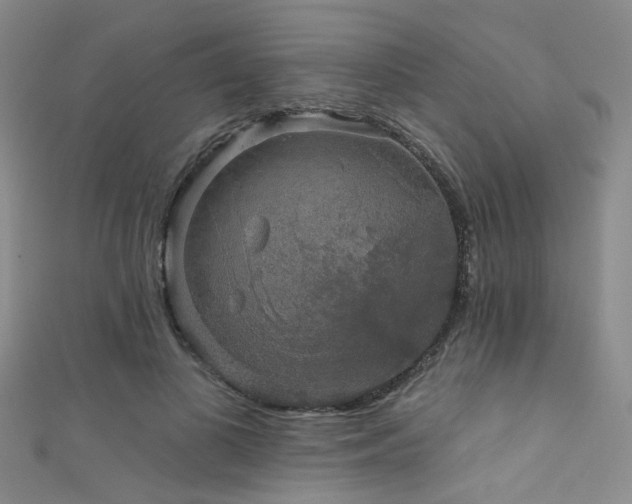 X0000111590693200907161454