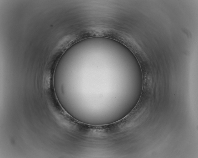 X0000111590694200907161454