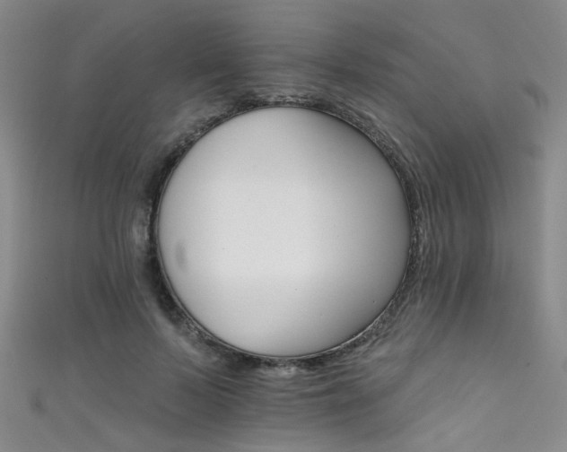 X0000111590695200907161454