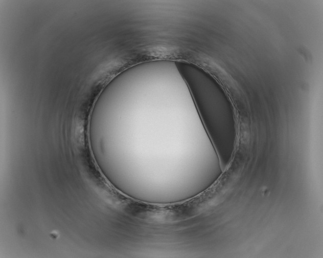 X0000111590696200907161454