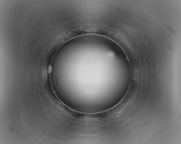 X0000111590697200907161454