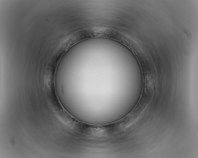 X0000111590698200907161454