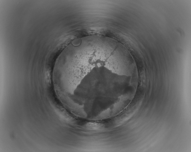 X0000111590699200907161454