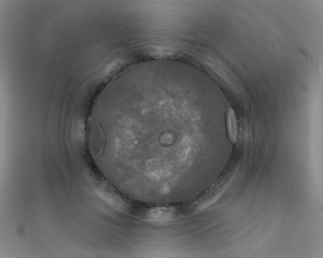 X0000111590700200907161454