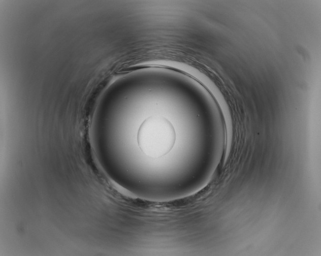 X0000111590701200907161454