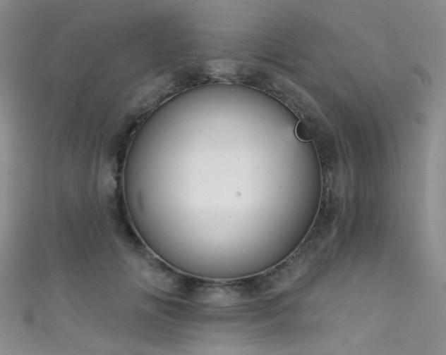 X0000111590702200907161454