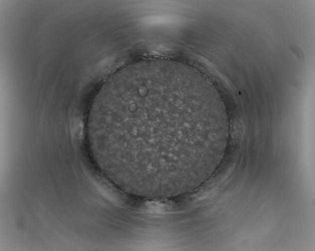 X0000111590703200907161454