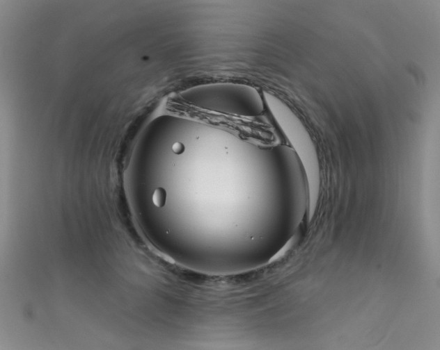 X0000111590704200907161454