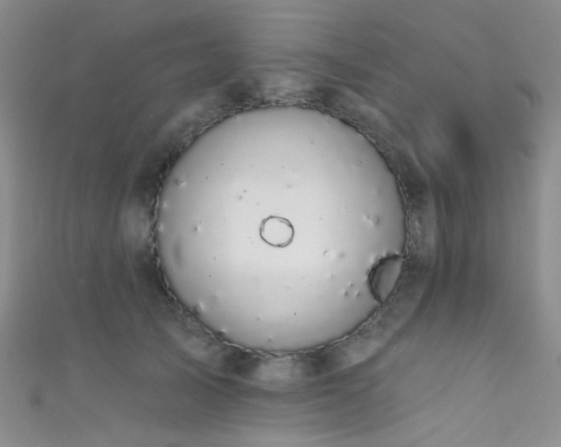 X0000111590705200907161454