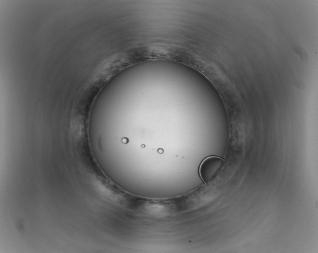 X0000111590706200907161454