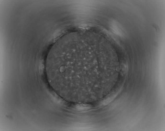 X0000111590707200907161454