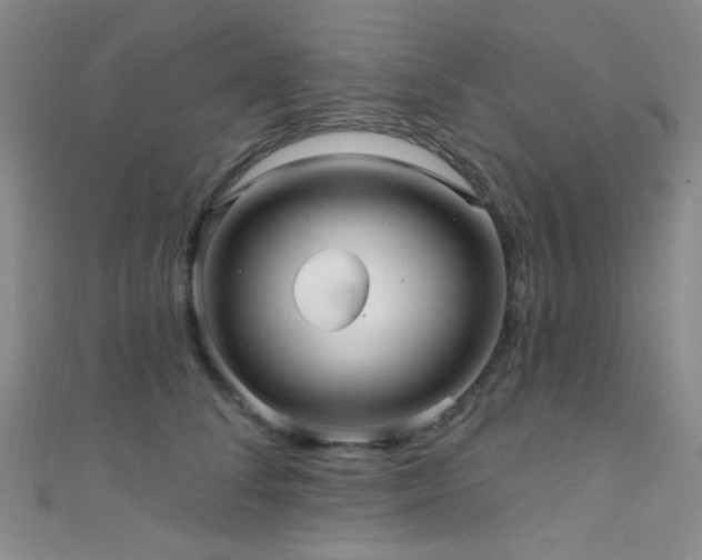 X0000111590708200907161454