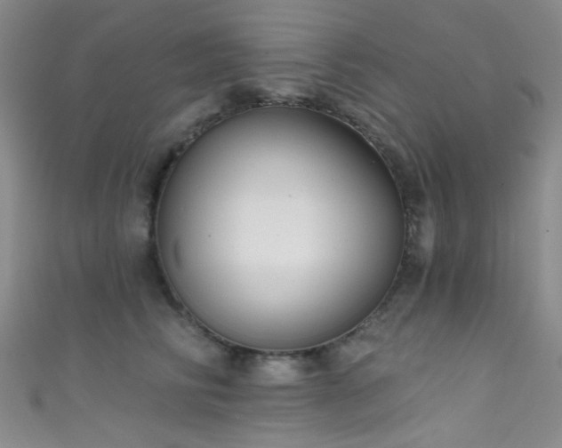 X0000111590710200907161453