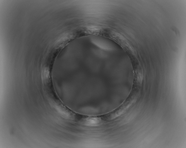 X0000111590711200907161453