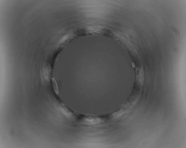 X0000111590712200907161453