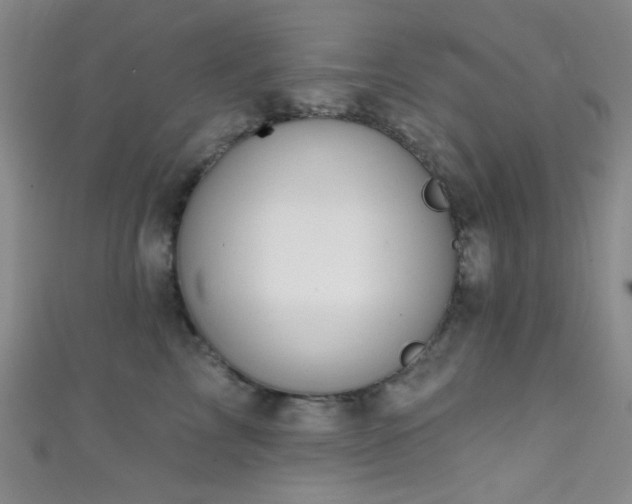 X0000111590713200907161453