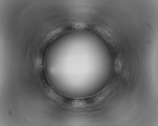 X0000111590714200907161453