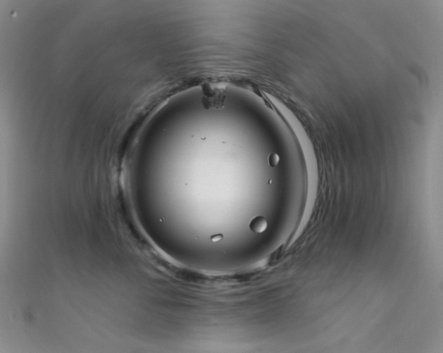 X0000111590716200907161453