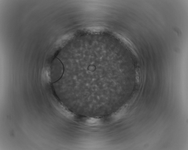 X0000111590718200907161453