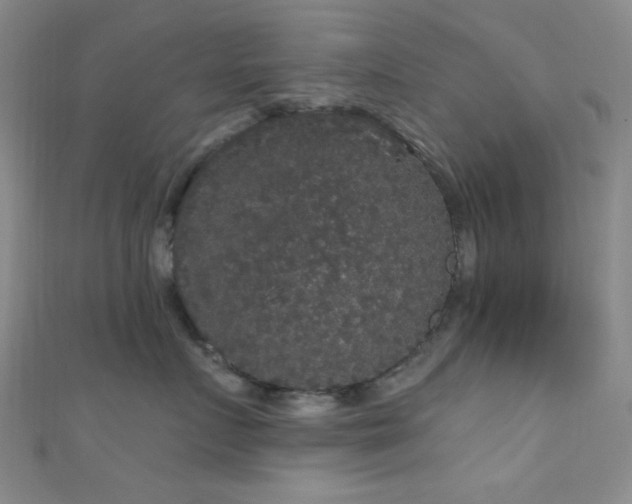 X0000111590719200907161453