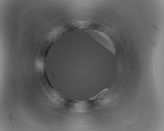 X0000111590720200907161453