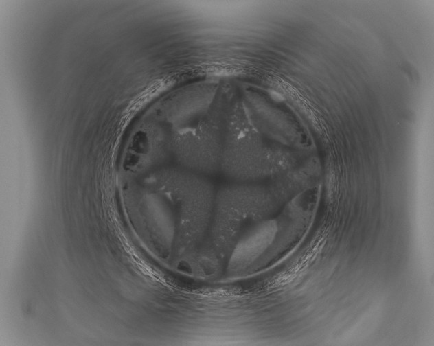 X0000111590721200907161453